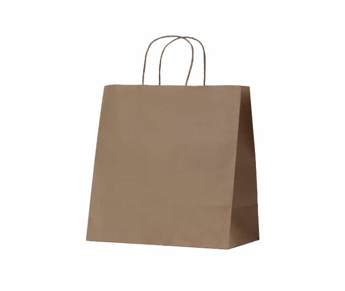 Medium -EJ Eco Kraft Twist Handle Carry Bag