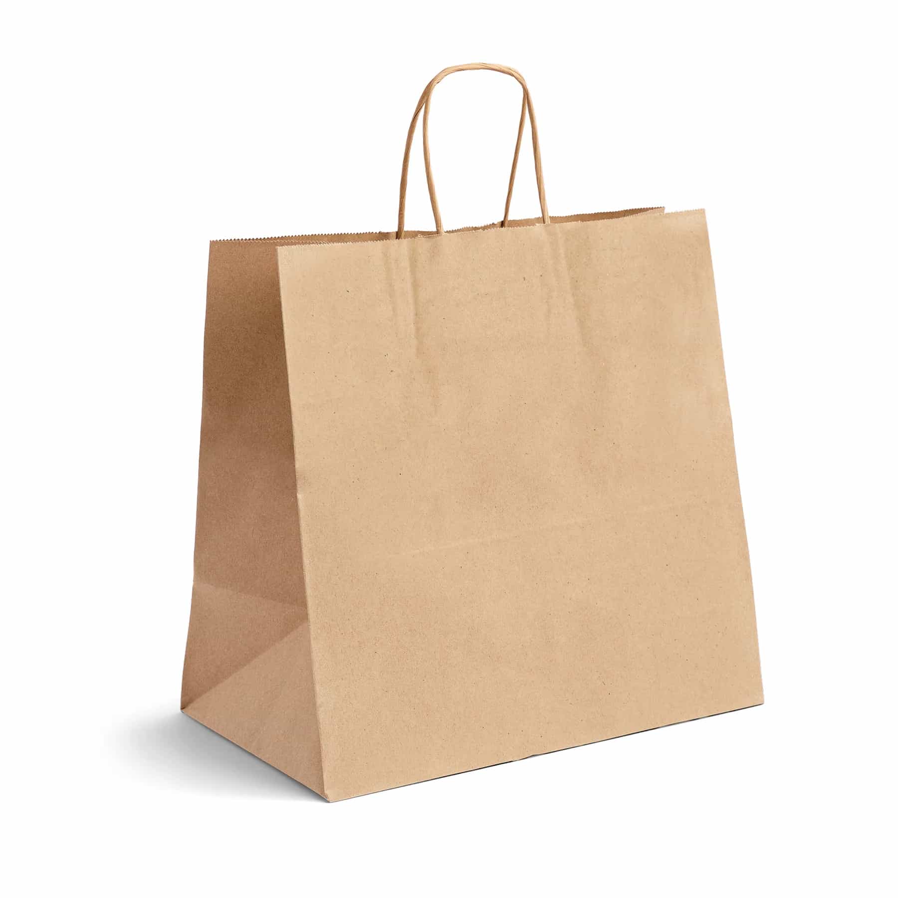 Small - Kraft Brown Delivery Twist Handle Bag