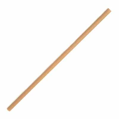 Sugarcane Straw Regular