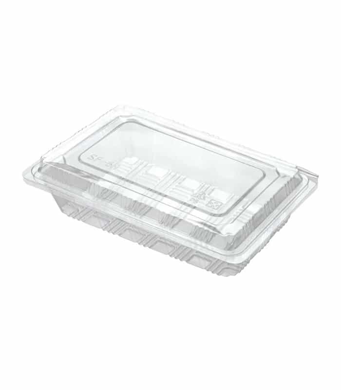 Clear Plastic Clamshell Large (L-1)