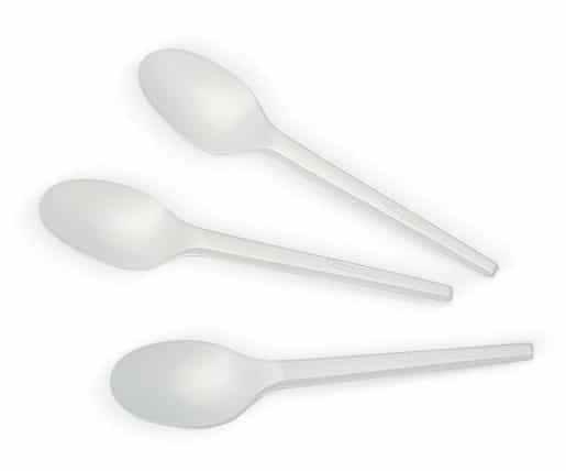 CPLA Spoon - 6.5 inch